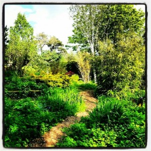 Garden path at Throssel Hole Buddhist Abbey. Photo by Maria Stephenson