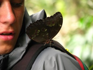 butterfly on your shoulder